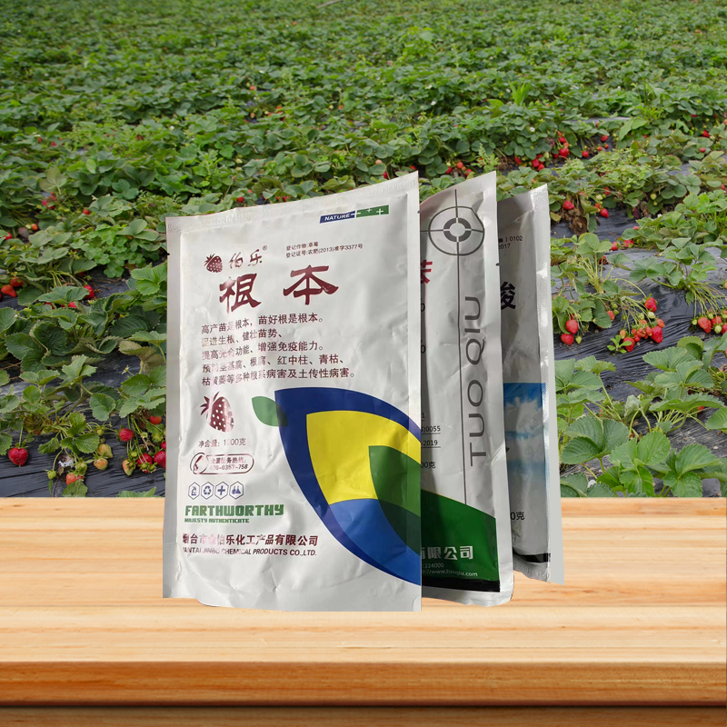 根本組合