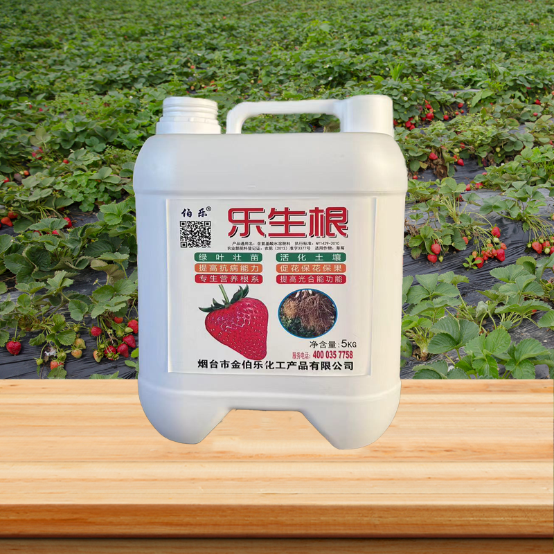 樂(lè)生根.png