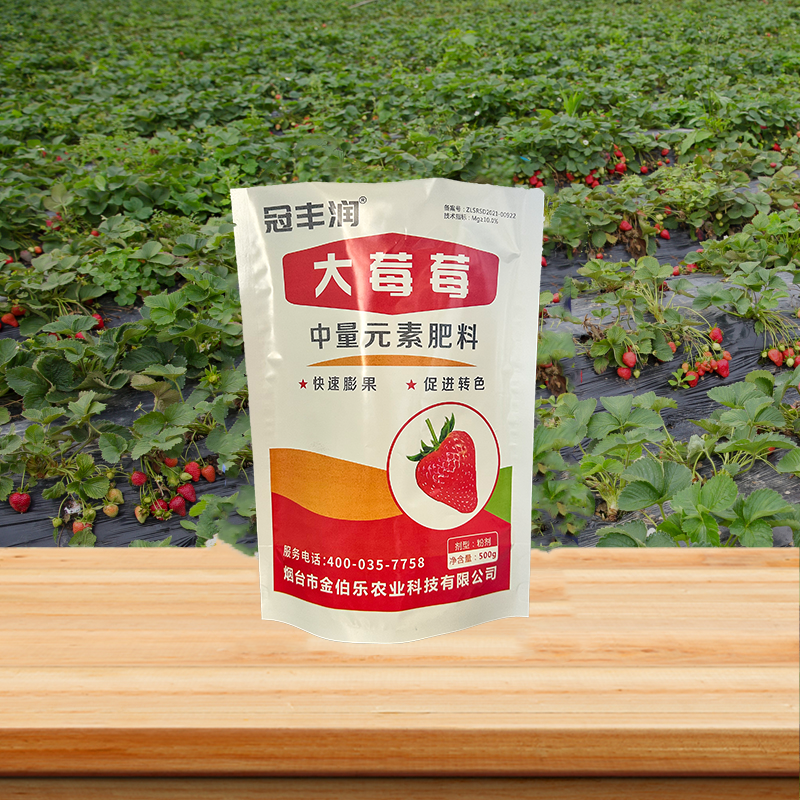 大莓莓.png